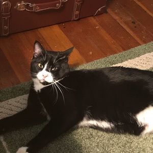 Meet your Posher, Liz